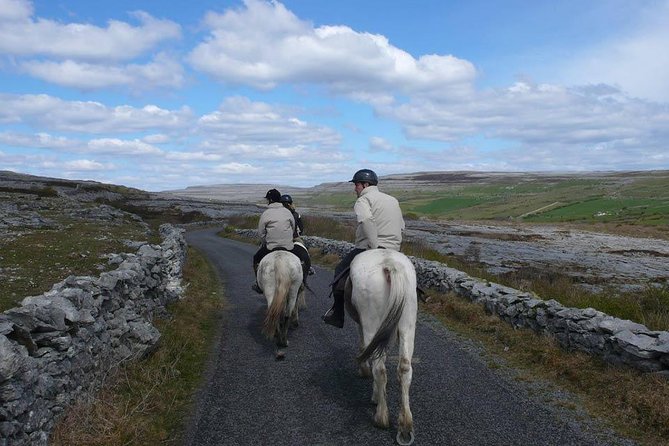 Horse riding - Burren Trail. Lisdoonvarna, Co Clare. Guided. 3 hours. - Meeting Mountain View Horse Riding Centre (Poulnagun, Lisdoonvarna)