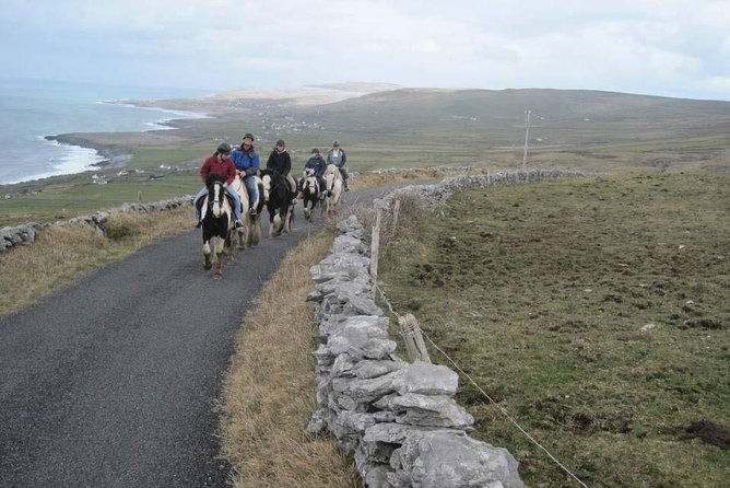 Horse riding - Burren Trail. Lisdoonvarna, Co Clare. Guided. 3 hours. - Who Should Book This Ride, and Who Might Pass