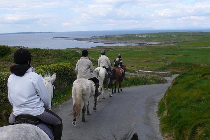 Horse riding - Burren Trail. Lisdoonvarna, Co Clare. Guided. 3 hours. - Should You Book Burren Trail Horse Riding in Lisdoonvarna?