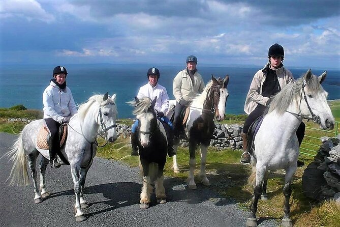 Horse riding - Dirt Trek Trail. Lisdoonvarna, Clare. Guided. 1 hour. - Where you ride: Mountain View Horse Riding Centre in Poulnagun