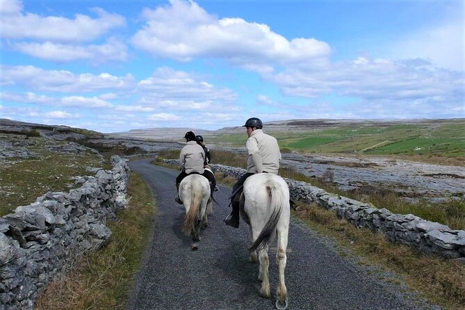 Horse riding - Dirt Trek Trail. Lisdoonvarna, Clare. Guided. 1 hour. - Price and value: what $121.62 gets you in County Clare