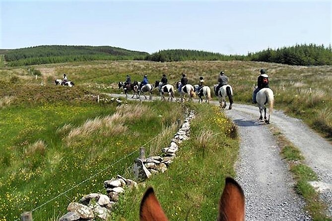 Horse riding - Dirt Trek Trail. Lisdoonvarna, Clare. Guided. 1 hour. - Fitness, rider limits, and what to wear