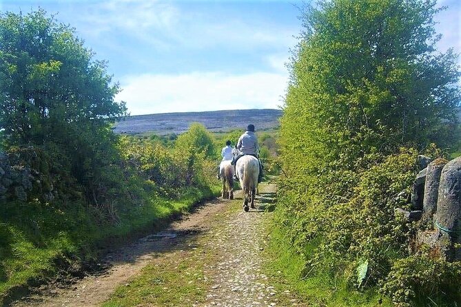 Horse riding - Dirt Trek Trail. Lisdoonvarna, Clare. Guided. 1 hour. - Timing, weather, and group size: making sure it runs smoothly