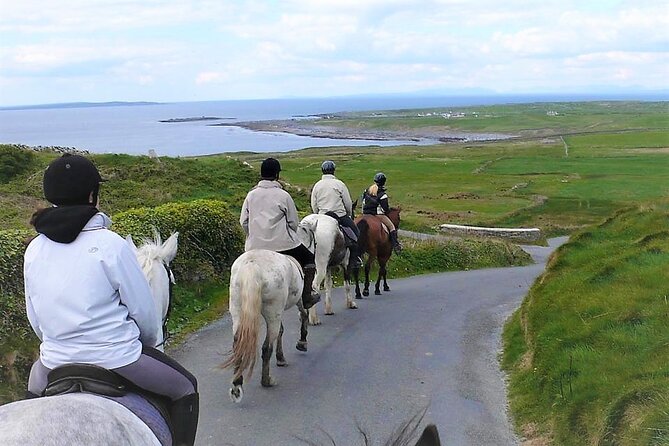 Horse riding - Dirt Trek Trail. Lisdoonvarna, Clare. Guided. 1 hour. - The guides: Peter and the team’s calm, hands-on style