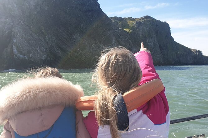 Howth Cliffs and Ireland's Eye Ferry Boat Tour - Why This Howth Cliffs and Ireland’s Eye Cruise Works as a Dublin Day Plan
