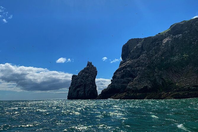 Howth Cliffs and Ireland's Eye Ferry Boat Tour - Ireland’s Eye Nature Reserve Loop, Seals, Birds, Martello Tower, and the Kirwan Story