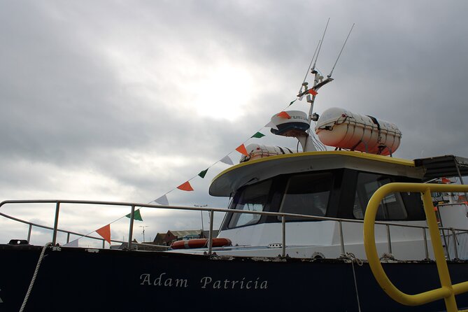 Howth Cliffs and Ireland's Eye Ferry Boat Tour - Price and Value: Is $24.20 Worth It?