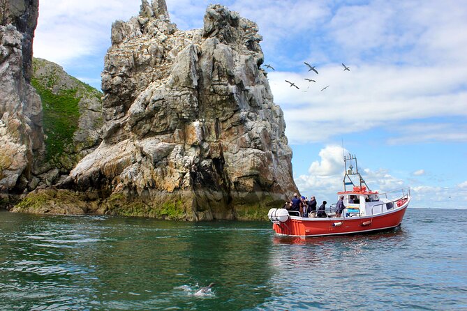 Howth Coastal Boat Tour (Ireland's Eye Ferries 50 mins trip) - Key things that make this tour work so well