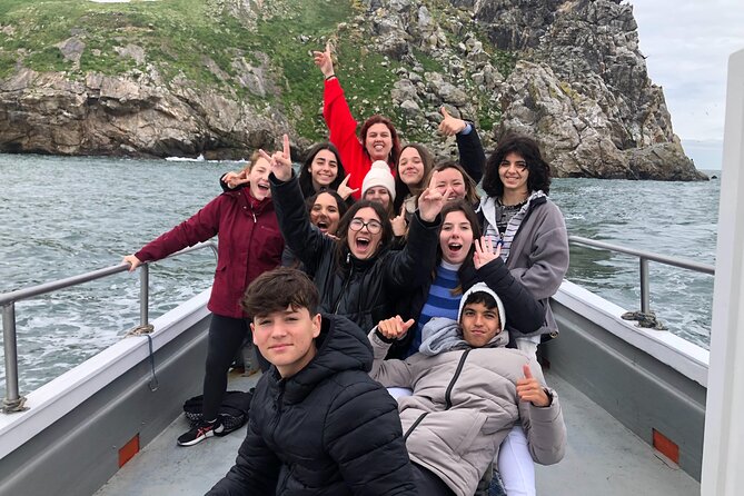Howth Coastal Boat Tour (Ireland's Eye Ferries 50 mins trip) - Stop focus: Howth Harbour, seals, and seabirds right where you want them