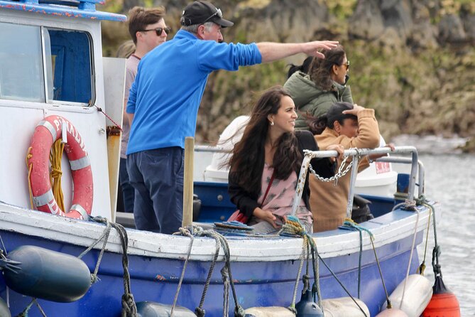 Howth Coastal Boat Tour (Ireland's Eye Ferries 50 mins trip) - The Howth to Ireland’s Eye route, in plain language