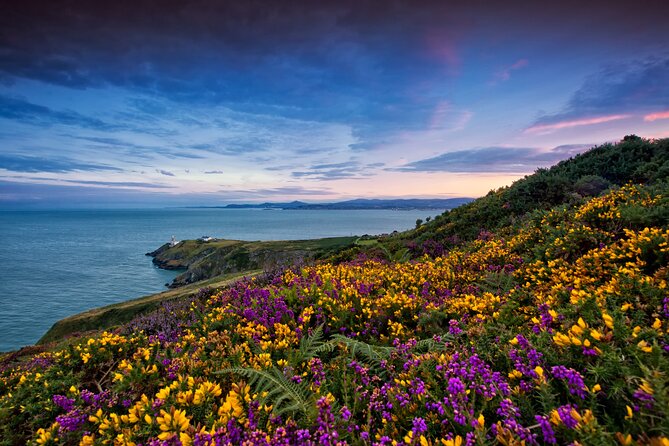 Howth Coastal Half-Day Bus Tour from Dublin with Live Guide - The bus ride out of Dublin: what to expect before the views