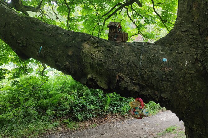 Howth Hiking Trail from Dublin: Mythology and Legend - Getting Started at Connolly, and why the timing matters