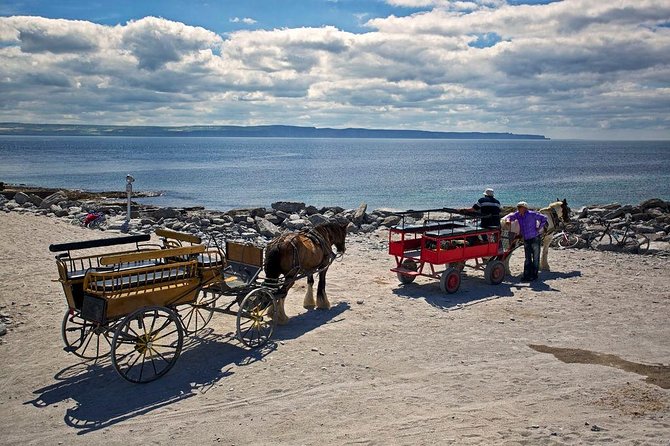 Inis Mór (Aran Islands) Day Trip: Return Ferry from Rossaveel, Galway - Your Free Day on Inis Mór: Pacing Without a Rigid Schedule