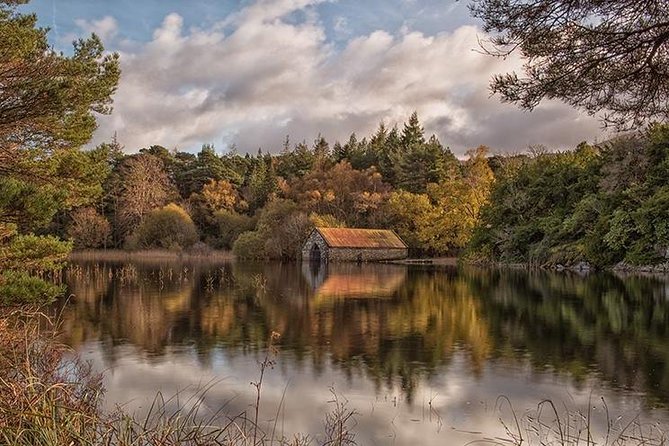 Innisfallen Island - Scenery & history of Killarney National Park - Your guide experience: Mike, Charlie, Harry, and Diarmaid-type stories on lake ecology and history