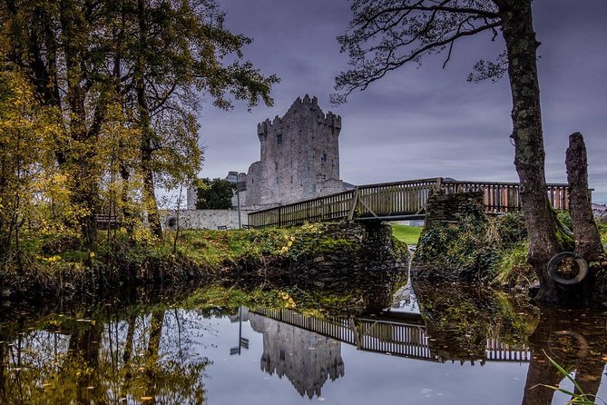 Innisfallen Island - Scenery & history of Killarney National Park - Should you book Innisfallen Island with Ross Castle Boat Tours?