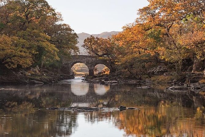 Innisfallen Island - Scenery & history of Killarney National Park - Island time on Innisfallen: the 25-minute perimeter walk that makes the ruins make sense