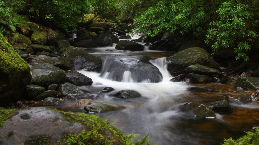 Ireland: 2 Day Wild Atlantic Way Tour - How the guides and pacing can shape your experience