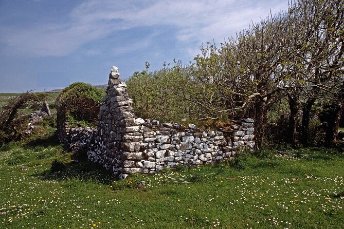 Irish Famine Museum / Exhibition Dublin - The 15-minute documentary film, and how to use it without rushing