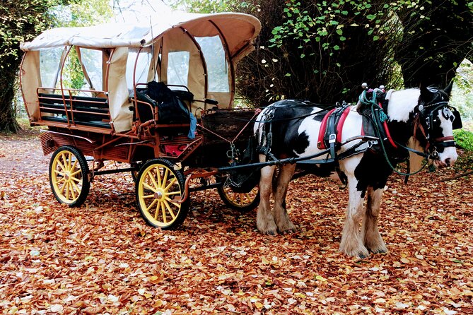 Jaunting Car Tour in Killarney National Park - A Short Tour That Still Feels Like Real Ireland