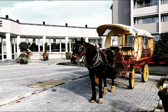 Jaunting Car Tour in Killarney National Park - Price and Value: What $66.54 Buys You in Killarney