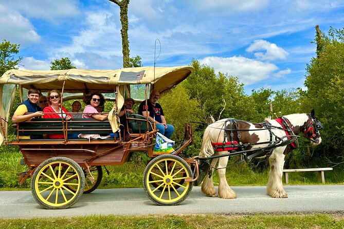 Jaunting Car Tour in Killarney National Park - Family-Friendly Comfort, Including Warmth in Rain