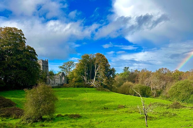 Jaunting Car Tour in Killarney National Park - Muckross Abbey Stop: The Ancient Poison Yew Tree in the Ruins