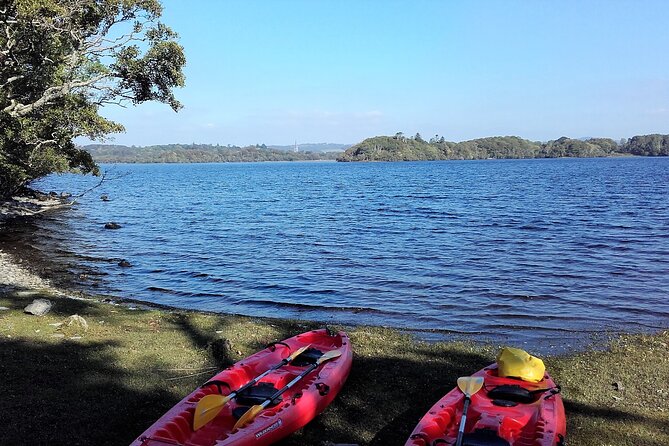 Kayak to Innisfallen island. Killarney. Guided. 2½ hours. - When This Tour Makes Sense for Your Killarney Day