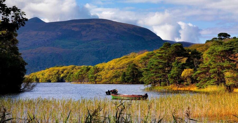 Kerry: Full-Day Tour from Dublin - Killarney National Park: Lakes, Black Valley Views, And Torc Waterfall