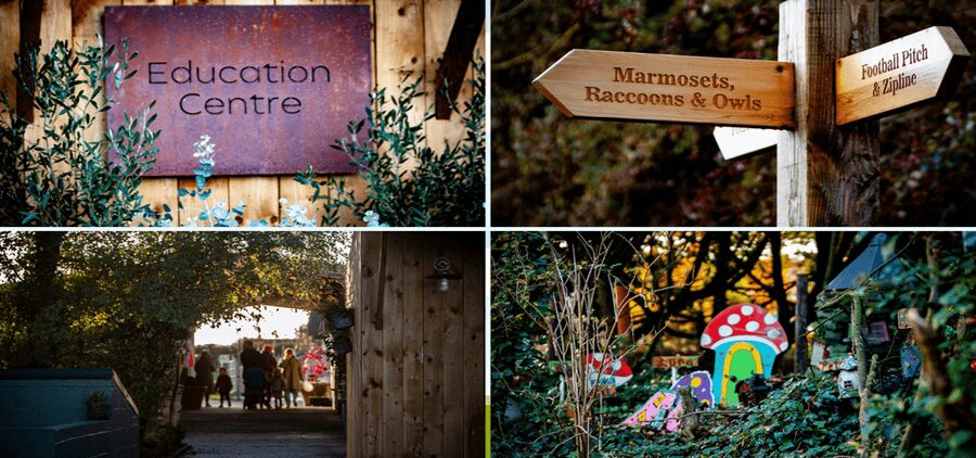 Kildare: Clonfert Farm General Admission Ticket - Key highlights to know before you go