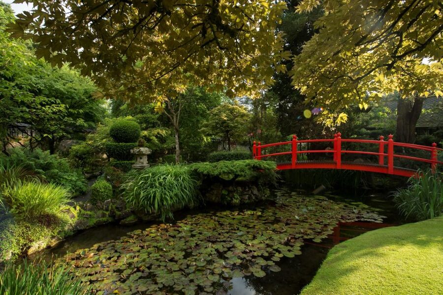 Kildare: Irish National Stud & Gardens - Value for Money: How This Ticket Stacks Up at About $22