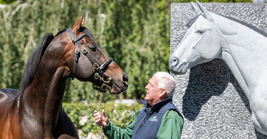 Kildare: Irish National Stud & Gardens - The Free Public Tour: Stallions, Mares, and the Best Views