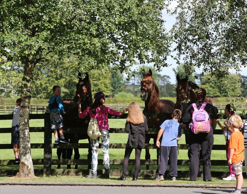 Kildare: Irish National Stud & Gardens - The Irish Racehorse Experience: Own a Horse, Then Watch the Real Story
