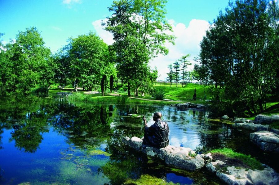 Kildare: Irish National Stud & Gardens - Living Legends: Retired Racing Stars You Can Actually See