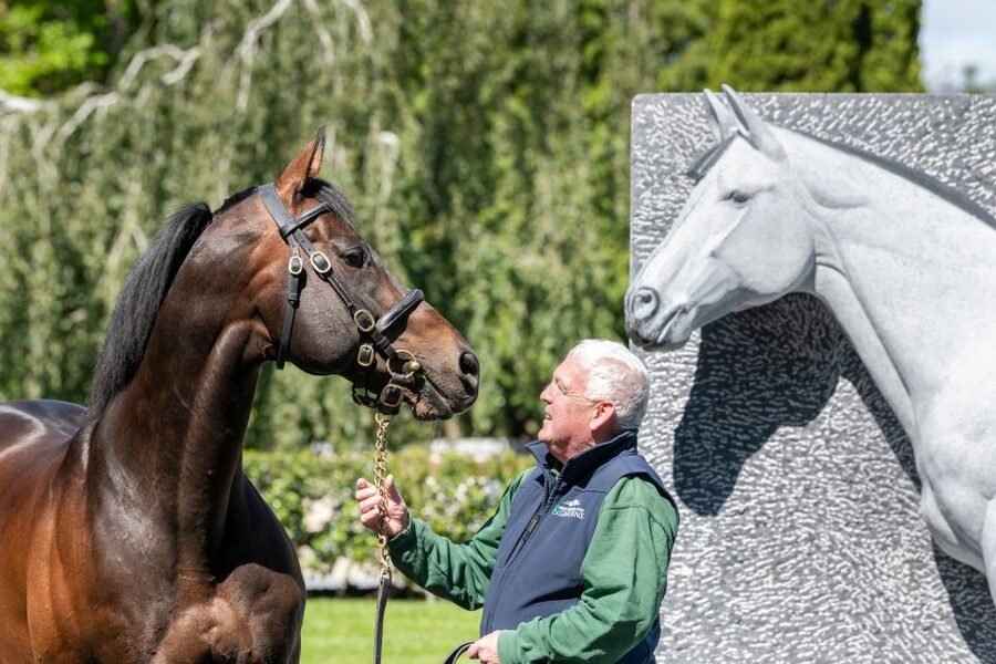 Kildare: Irish National Stud & Gardens - Getting Oriented: Timing, Entry Windows, and How to Plan Your Day