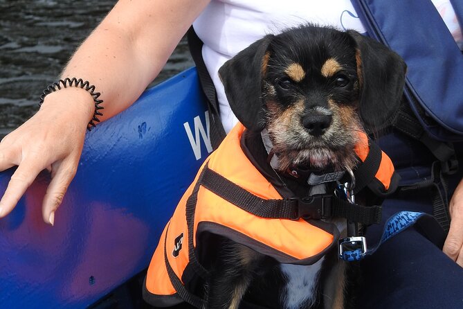 Kilkenny Boat Trip - Photo Opportunities That Don’t Feel Like a Photoshoot