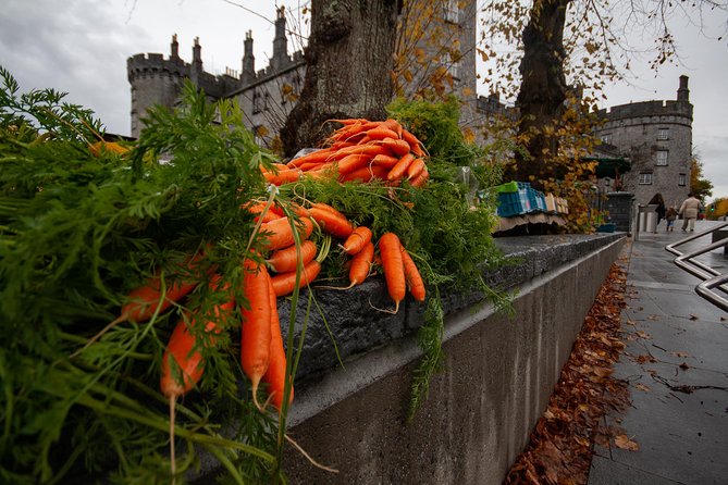 Kilkenny city tour in German. - St. Mary’s Cathedral and Rothe House: where the city shows everyday roots