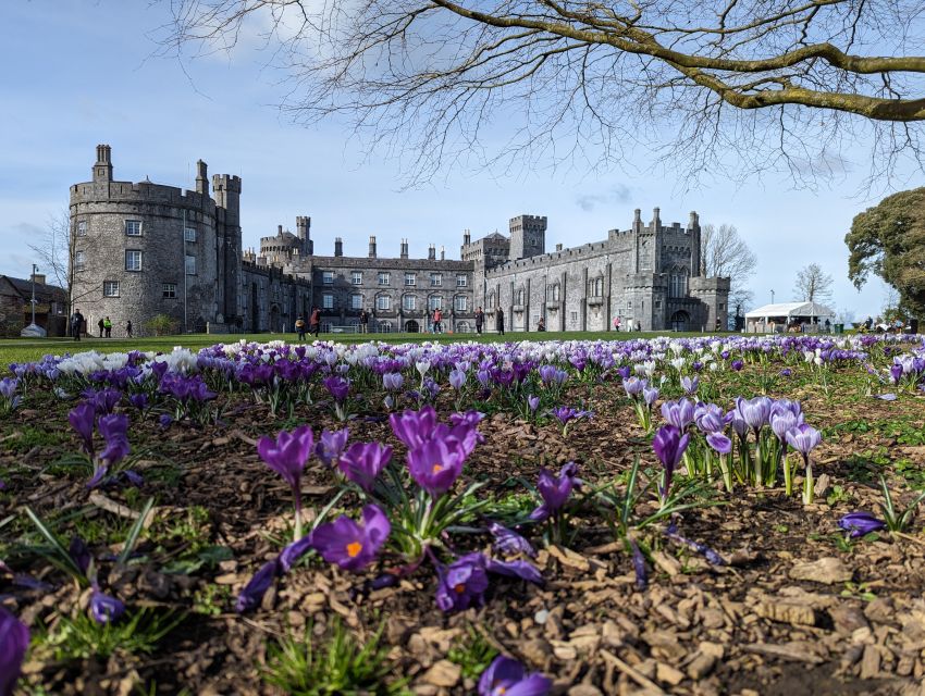 Kilkenny: Historical Highlights Walking Tour - What to wear and bring for a smooth 2 hours