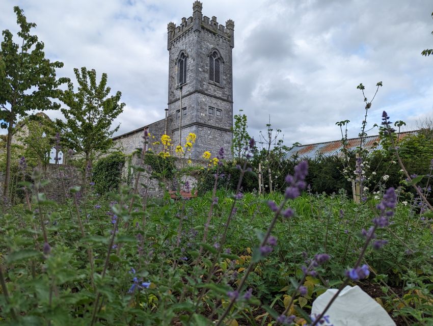Kilkenny: Historical Highlights Walking Tour - What makes the guide experience feel worth it