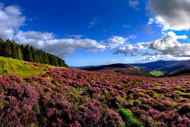 Kilkenny, Wicklow Mountains & Glendalough Day Tour from Dublin - What to pack and how to enjoy the full day