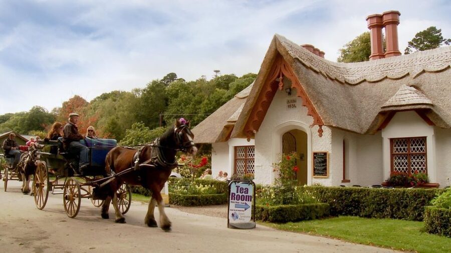 Killarney: 1-Hour Jaunting Car Horse and Carriage Tour - Key things I’d plan around