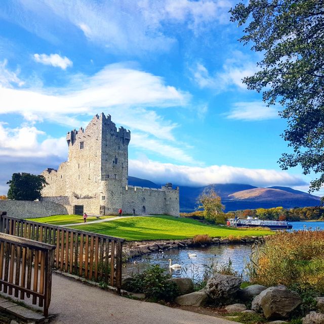 Killarney: 1-Hour Jaunting Car Horse and Carriage Tour - Price and value: how $43 for one hour adds up