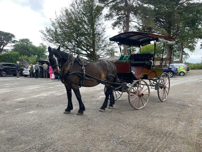 Killarney Carriage Tours National Park and Lakes - From St Mary’s Cathedral to the Lakes of Killarney