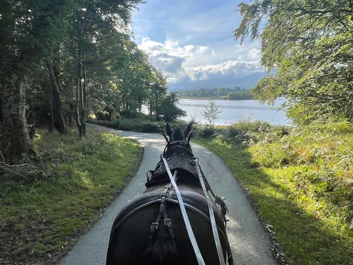 Killarney Carriage Tours National Park and Lakes - Price and value at about $40 per person