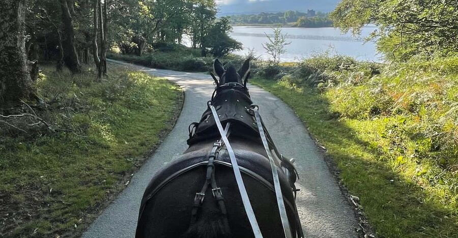 Killarney Carriage Tours National Park and Lakes - Who this private carriage tour suits best