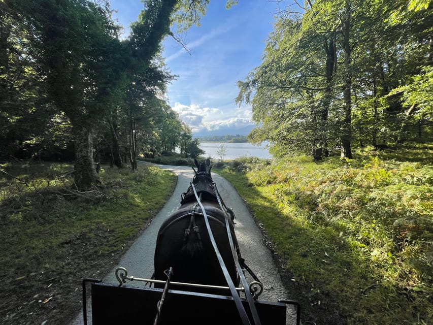 Killarney Carriage Tours National Park and Lakes - Should you book Cronin’s Carriage Rides in Killarney?