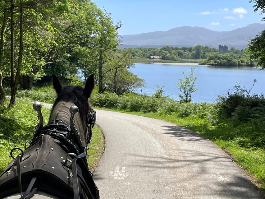 Killarney Carriage Tours National Park and Lakes - Meeting at 228 Beech Road, and how the ride starts