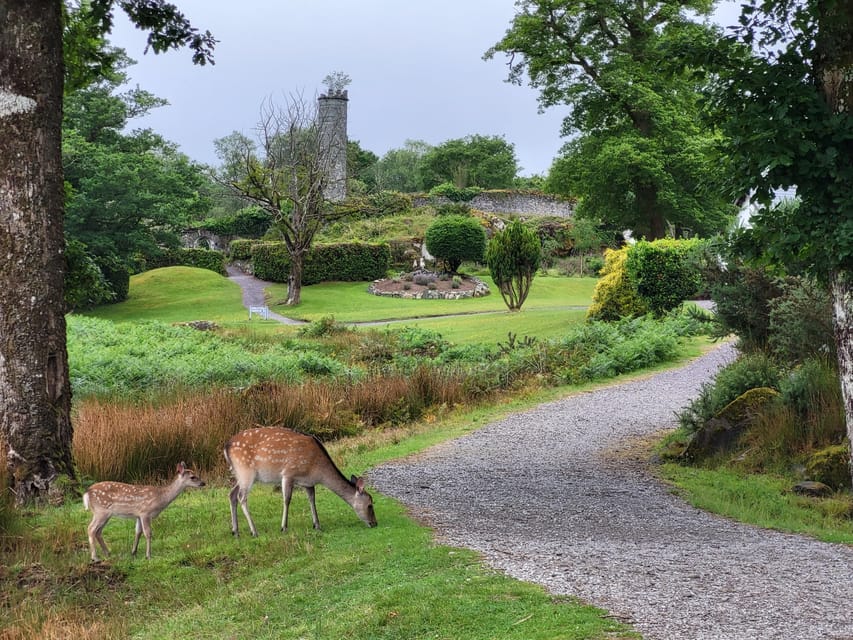 Killarney: Gap of Dunloe Day Tour - Lord Brandon’s Cottage: a mountain cafe stop that helps you stay on schedule