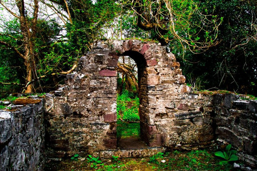 Killarney: Guided Boat Tour to Innisfallen Island - Sika Deer, Private Beaches, and Wildlife That Makes It Feel Alive