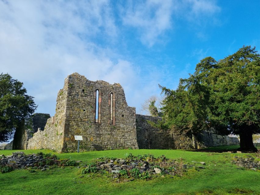 Killarney: Guided Boat Tour to Innisfallen Island - Who This Innisfallen Island Tour Fits Best