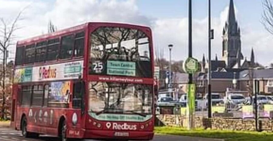 Killarney: Hop-On Hop-Off Bus to Killarney National Park - How the Hop-On Hop-Off Format Changes Your Killarney Day